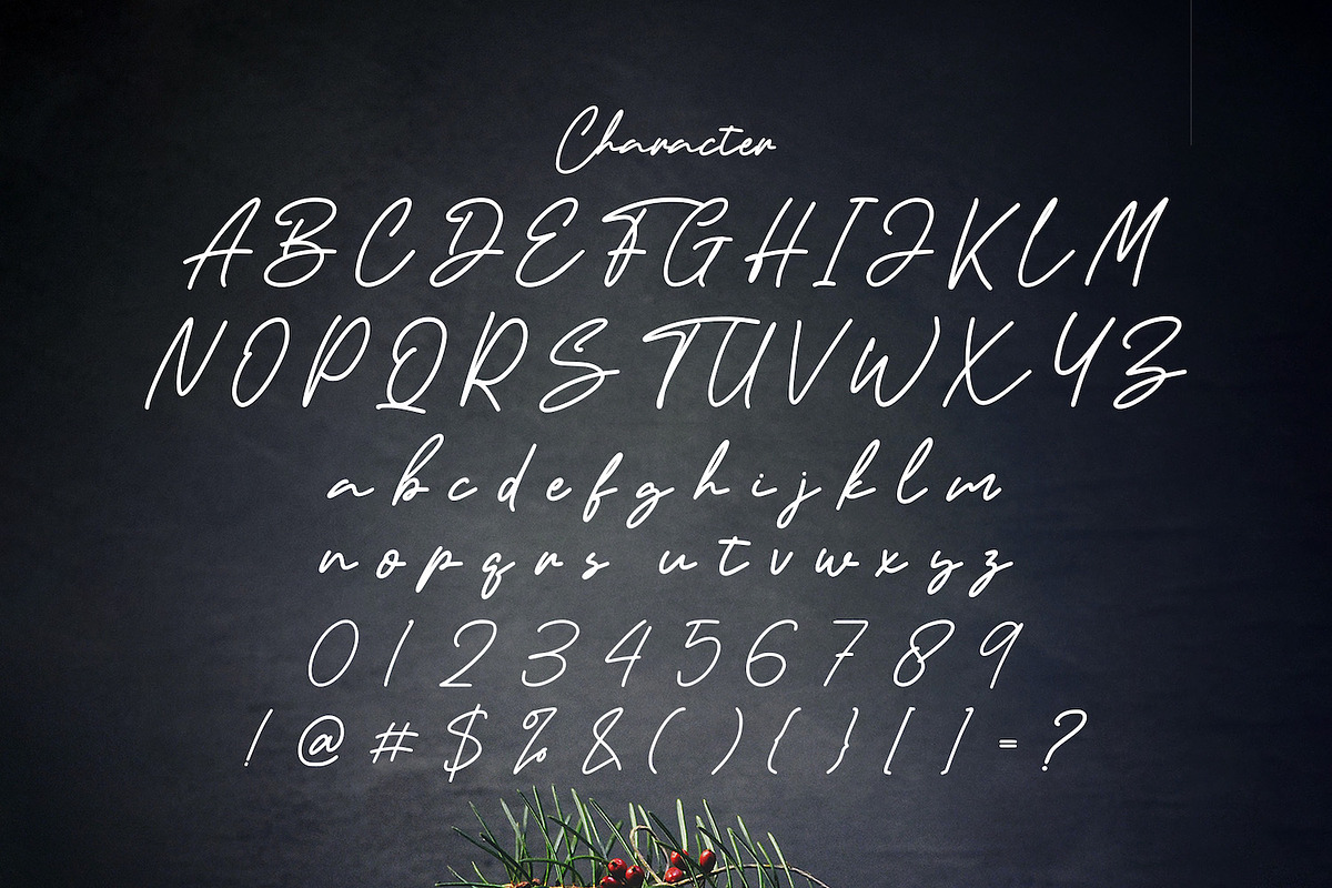 Artemay Bright - Signature Font, a Script Font by StringLabs (Photo 8 of 9)