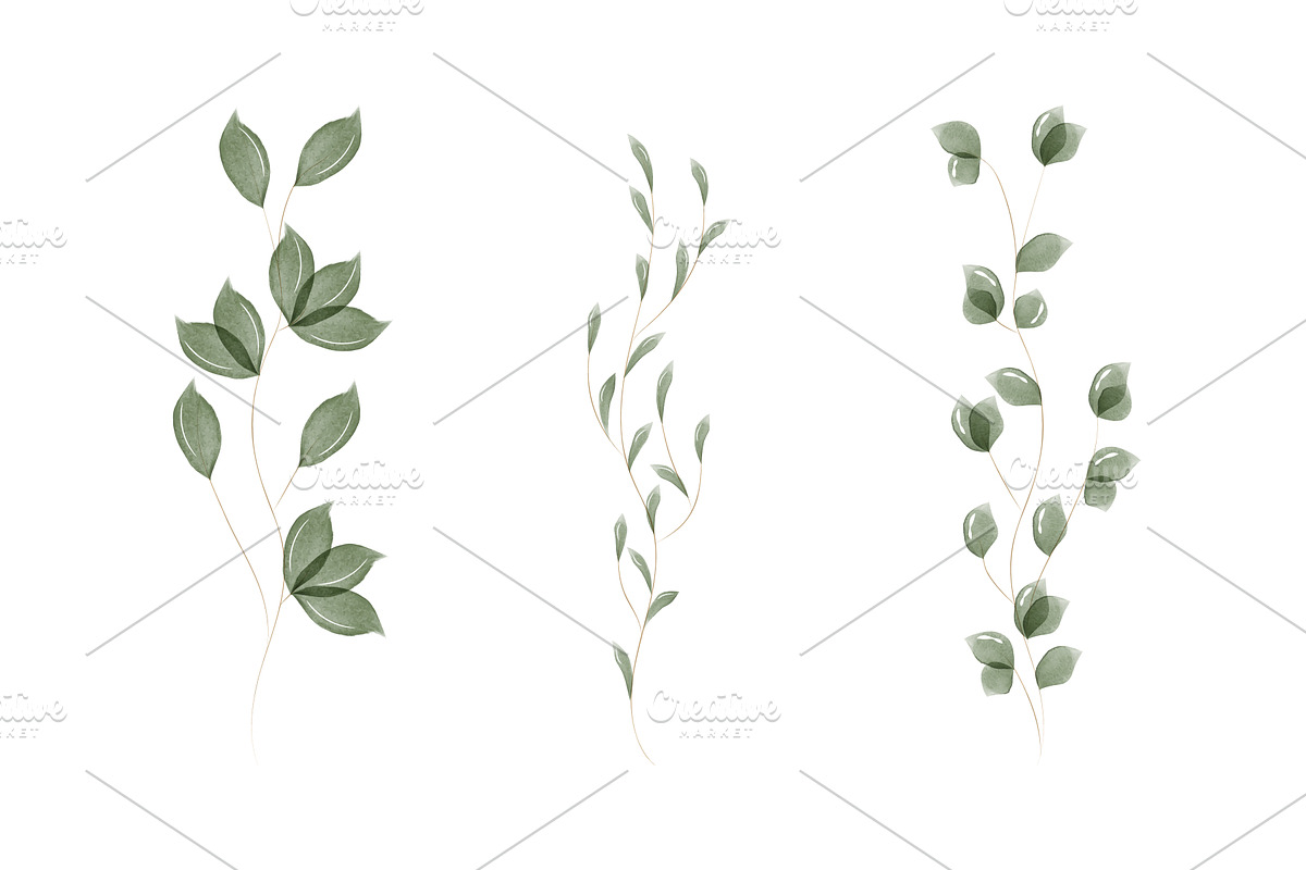 Delicate green watercolor leaves set, an Object Illustration by okskukuruza