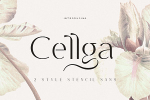 Cellga Typeface, a Sans Serif Font by alit design