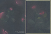 Nocturne in Bloom Floral Backgrounds, a Background Graphic by Dina Mae (Thumbnail 8 of 10)