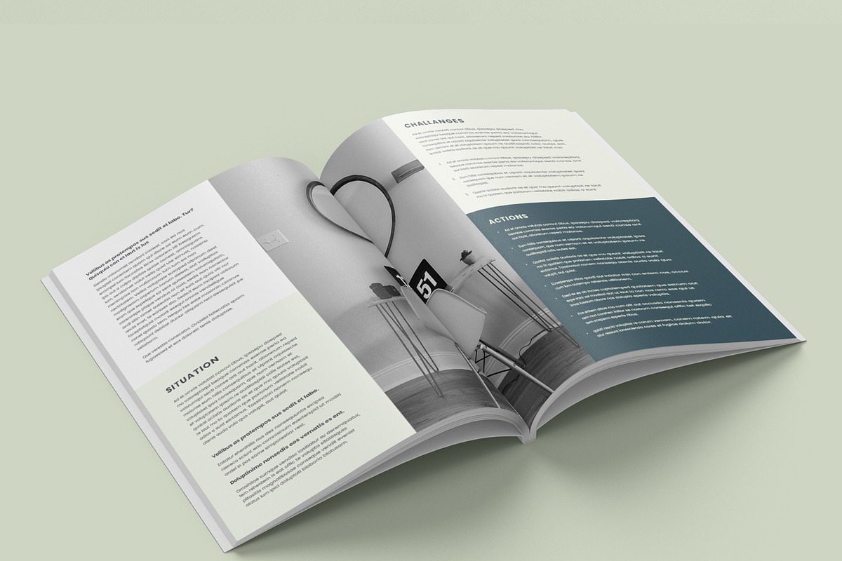 Case Study Template, Data Sheet preview 3
