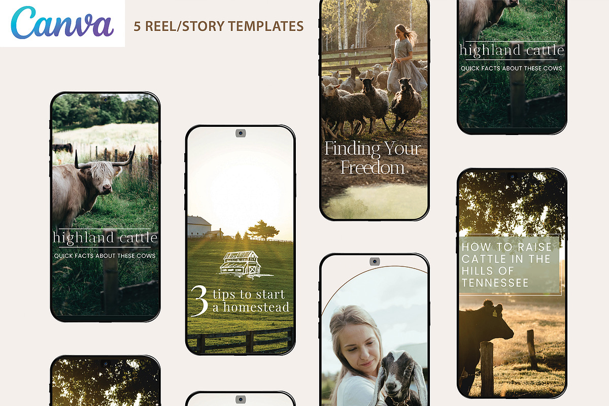 Homestead Social Media Templates, a Templates & Theme by Finicky Fox Design (Photo 3 of 3)