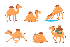 Camels. Arabian cartoon animals, an Animal Illustration by Onyx