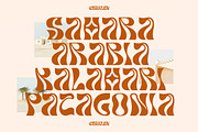 Charley Unique Display Font, a Serif Font by Storytype Studio (Thumbnail 2 of 14)