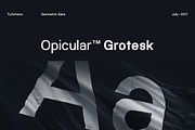 Opicular - Starter Series, a Sans Serif Font by RKS-Studio (Thumbnail 1 of 11)