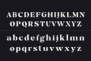 Chayle - Modern Classy Serif, a Serif Font by Typeformers (Thumbnail 8 of 9)