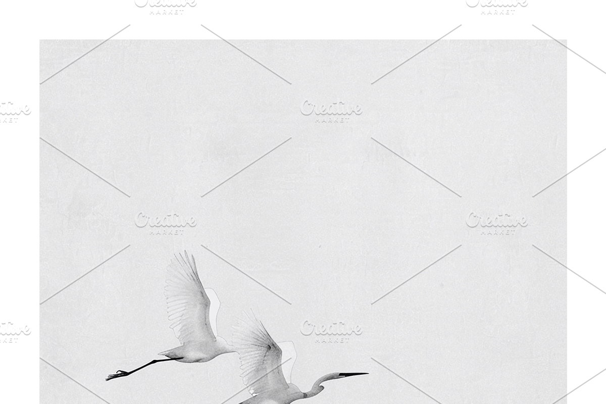 Gret Collection · Egrets in Flight, an Animal Illustration by milatovar (Photo 13 of 17)