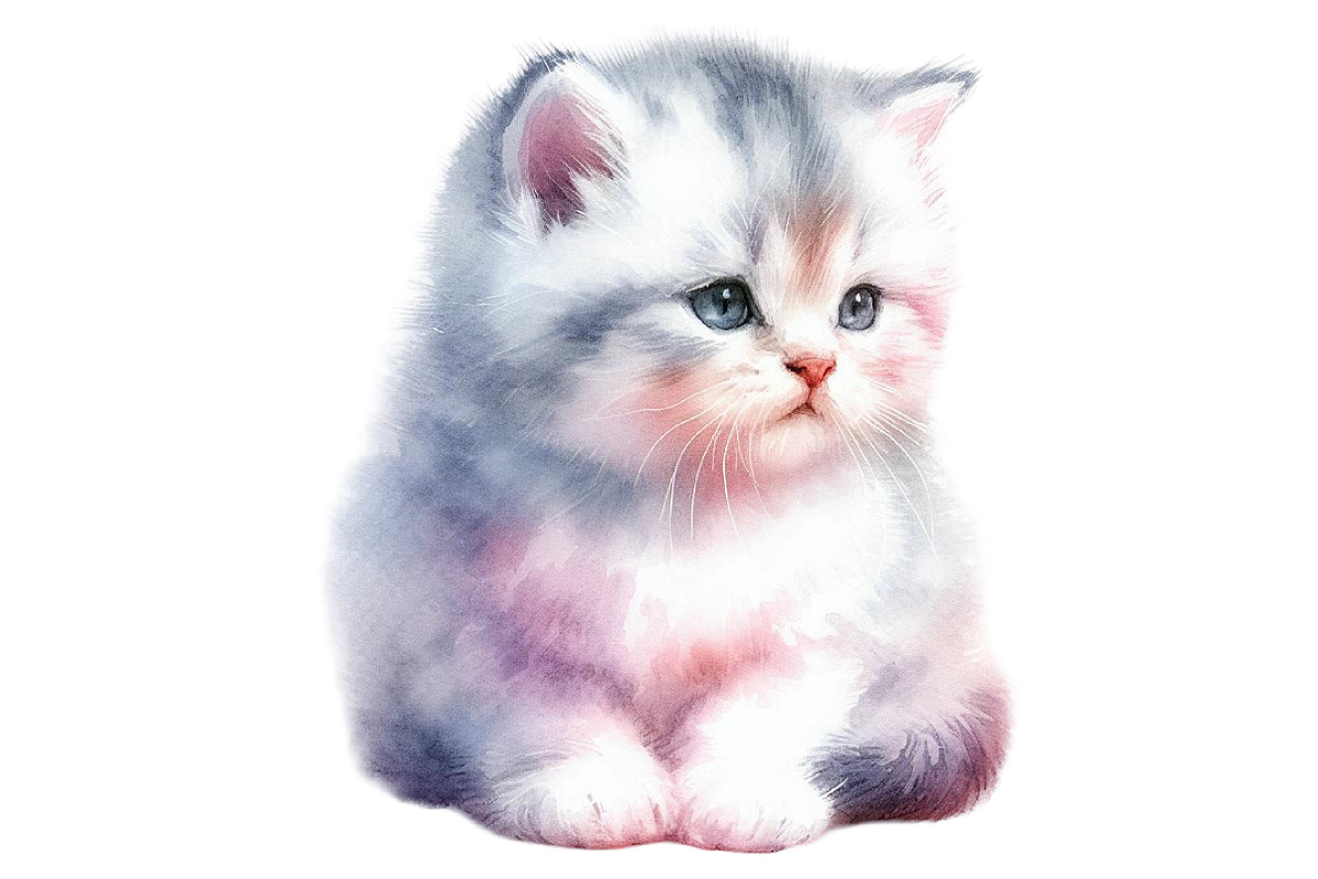 Watercolor Cat clipart, an Illustration by Designworld (Photo 5 of 6)