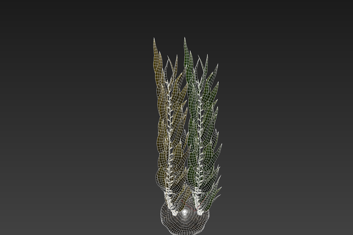 Kelp V2, an Environmental 3D Model by AndrewWhite (Photo 4 of 12)