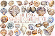 Seashell Clipart Ocean Sketch Set, an Illustration by Sublimation Artist (Thumbnail 1 of 6)