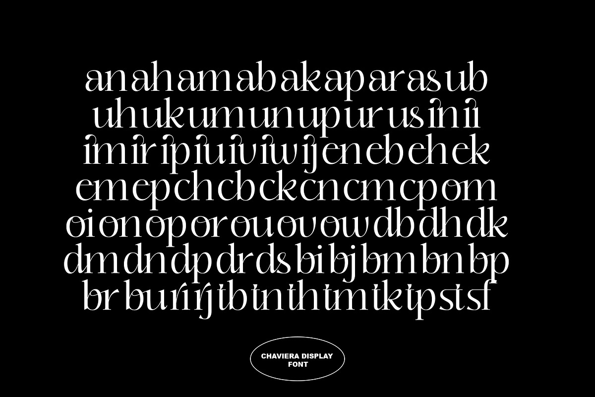 Chaviera, a Serif Font by INKSUN™ (Photo 11 of 13)