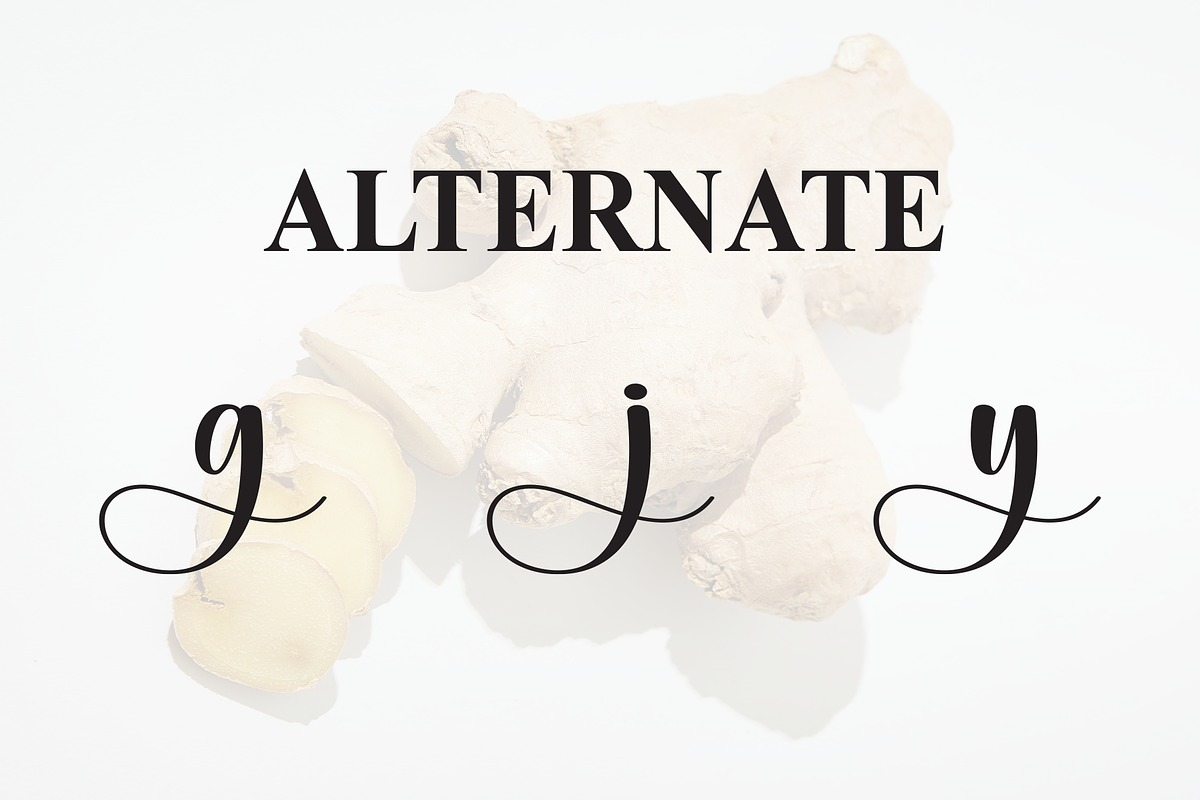 Ginger | Script Font, a Handwritten Font by Scratchones (Photo 8 of 9)