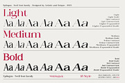 Epilogus - Serif font family, a Serif Font by Artistic & Unique (Thumbnail 7 of 15)
