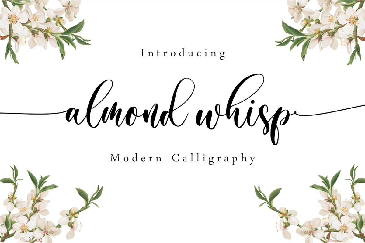 Almond Whisp - Modern Calligraphy, a Script Font by Sronstudio (Photo 1 of 10)