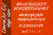 High Xire (EXTRAS 52 SWASH!), a Script Font by Garisman Std (Thumbnail 5 of 10)