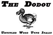 Untitled Wood Type FAMILY PACK, a Serif Font by Intellecta Design (Thumbnail 2 of 7)