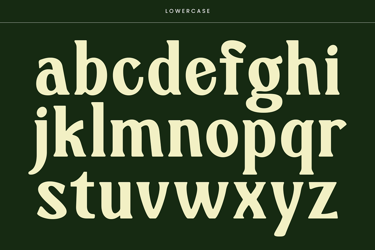 Jayadi - Branding Rounded Serif Font, a Serif Font by Pekotype (Photo 5 of 14)