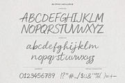 Pencil Script - Handwritten Script, a Script Font by AndrewPixelType (Thumbnail 15 of 15)
