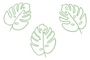 Vector Plant & Leaf Graphics, a Background Graphic by Dorey Kronick Art&Design (Thumbnail 15 of 19)