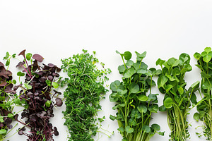 Different fresh microgreens on white background, a Food & Drink Photo by AlyaAnd