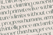 Raslera Modern Serif Display, a Sans Serif Font by timelesstype.co (Thumbnail 16 of 20)