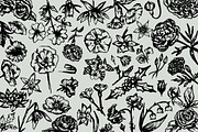 Hand-Illustrated Floral Vectors, an Illustration by Britt Fabello (Thumbnail 4 of 4)