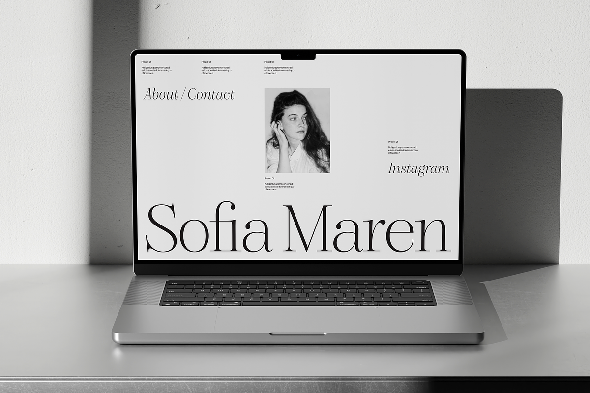 Dupioni Thin - Ligature Serif, a Serif Font by Silktype (Photo 7 of 20)