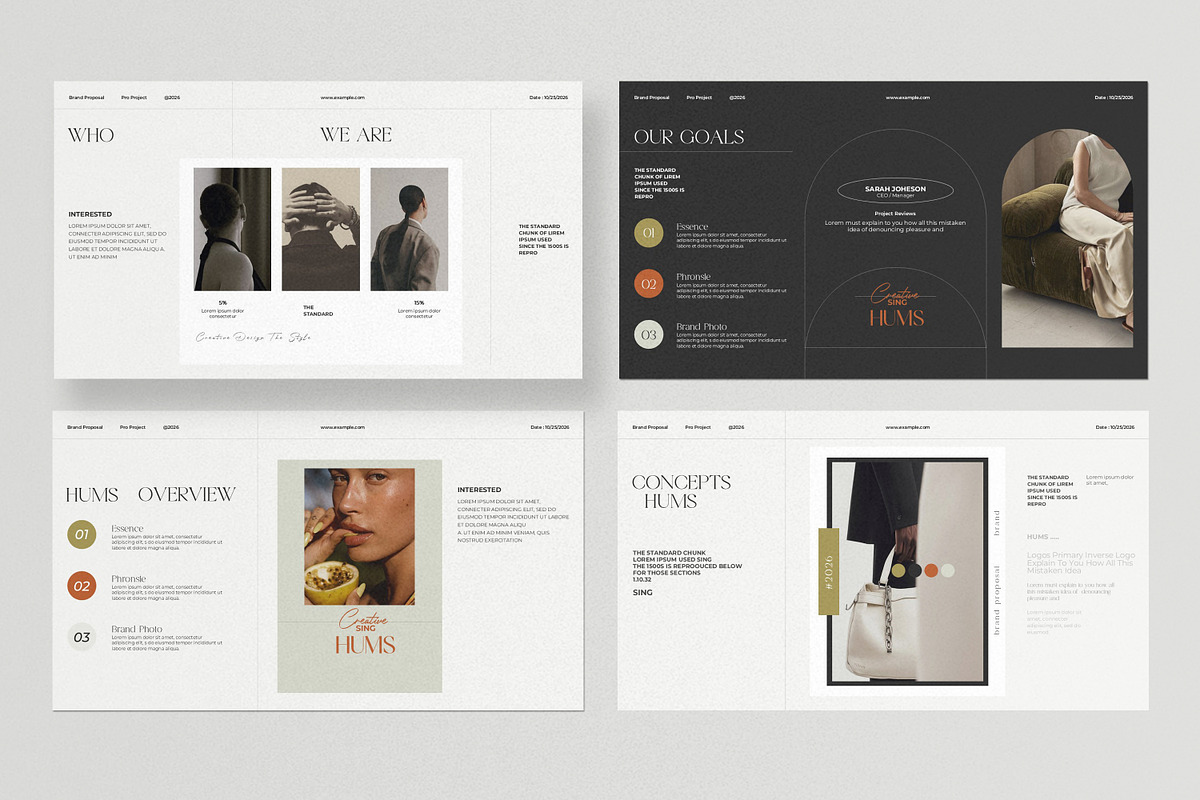 Hums Brand Proposal Template preview 6