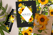 Soleil Floral Patterns & Clip Art, an Object Graphic by Eclectic Anthology (Thumbnail 4 of 13)