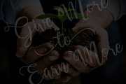Shafeer, a Script Font by Abo Daniel Studio (Thumbnail 8 of 15)