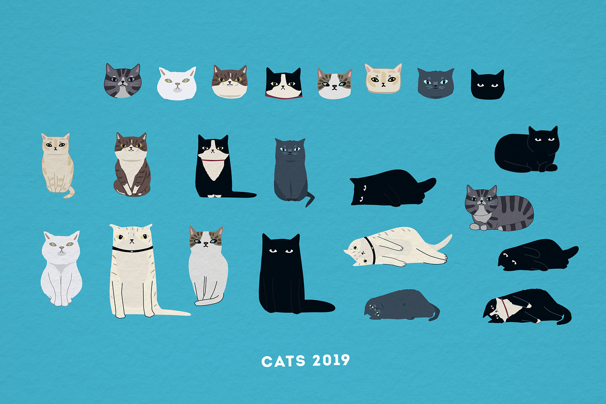 Cats 2019, an Animal Illustration by Alena (Photo 2 of 6)