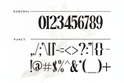 white over font serif, a Serif Font by azdaffstudio (Thumbnail 7 of 14)