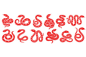 2025 Chinese snake reptiles, an Animal Illustration by Vector Tradition