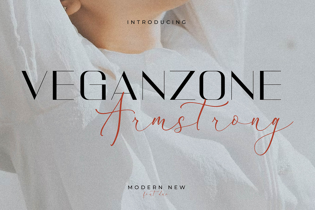 Veganzone Armstrong Modern Font Duo, a Serif Font by Storytype Studio (Photo 1 of 13)