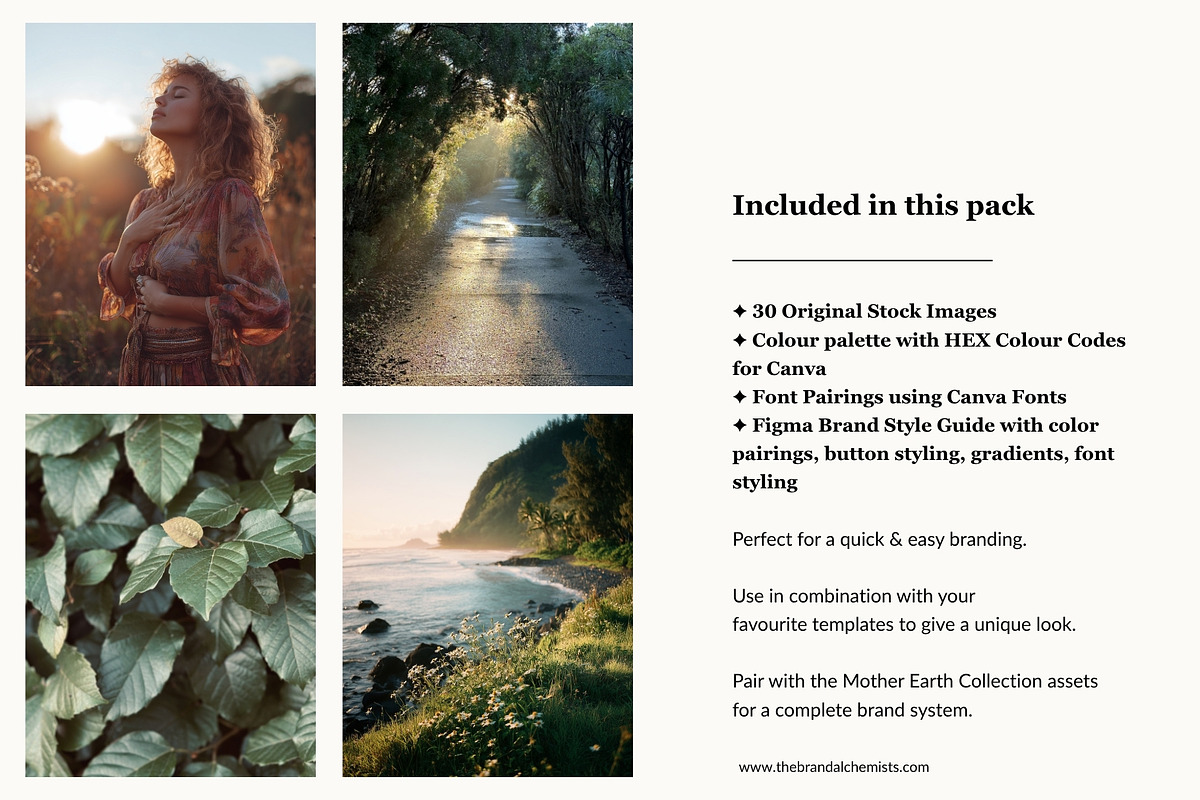Mother Earth Brand System + UI Kit, an UI Kit Template by The Brand Alchemists (Photo 6 of 12)