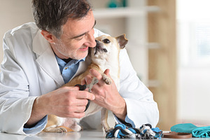 Veterinarian Holding Dog While It Licks Him, an Animal Photo by Davizro's Market