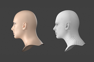 Natural Male Head 01 Generic Mesh