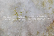 Flora Ether Botanical Backgrounds, a Background Graphic by alonahaidash (Thumbnail 4 of 16)