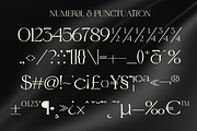Kanes - A Modern Serif Font, a Serif Font by Marvadesign (Thumbnail 5 of 7)