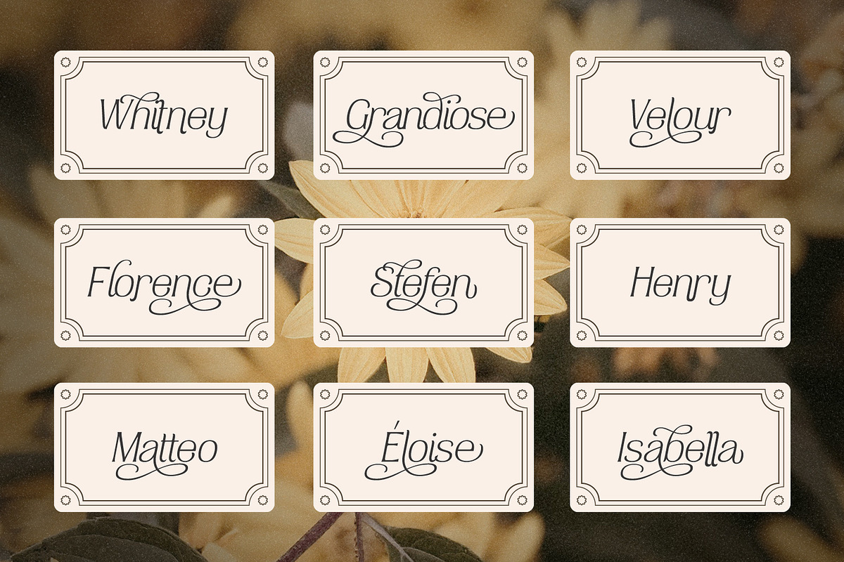 Havenite, a Serif Font by din-studio.com (Photo 4 of 16)