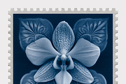 Lupa Co · Cyanotype Botanical Stamps, a Texture Illustration by milatovar (Thumbnail 15 of 18)
