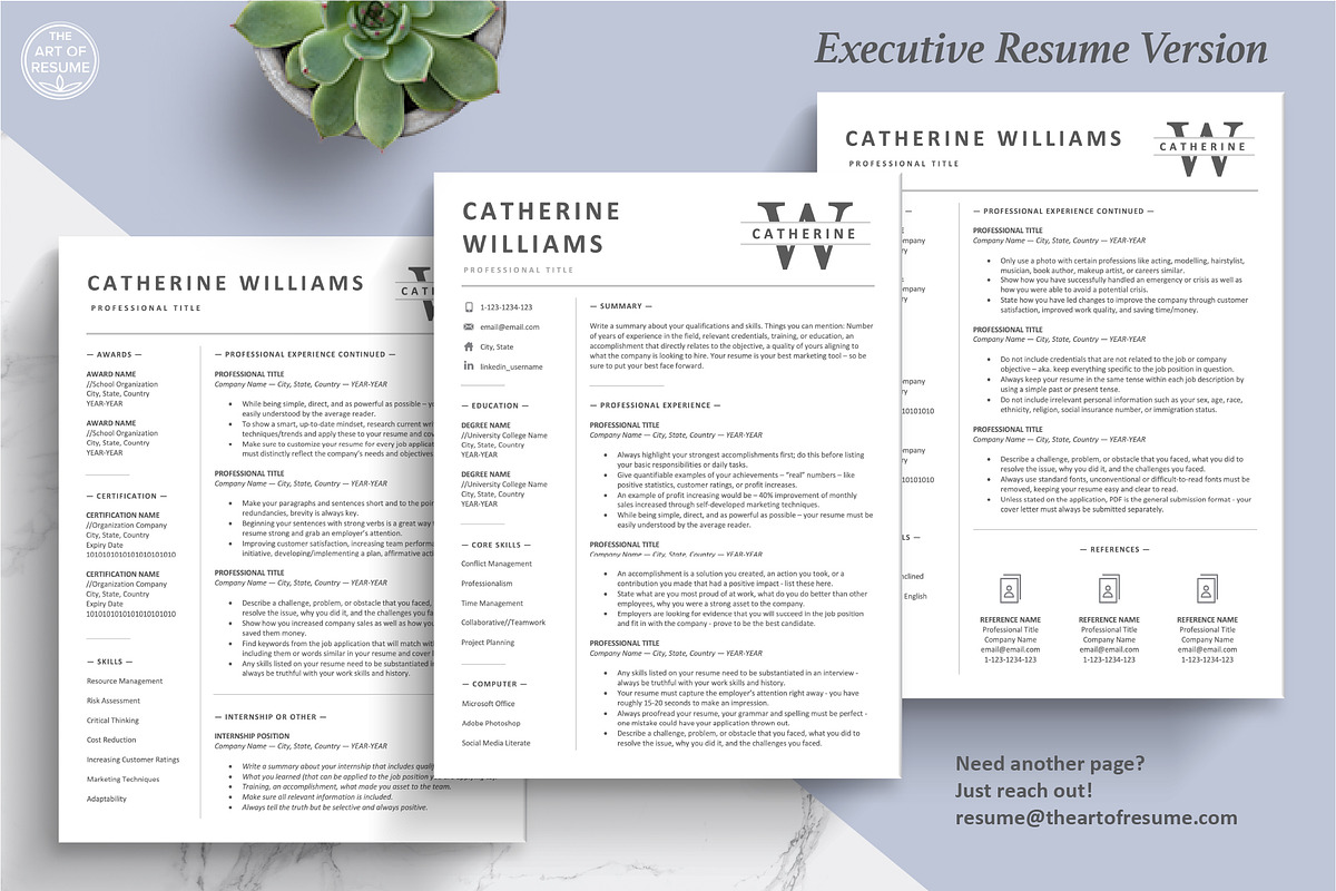 Executive Resume, Business Resume CV, a Resume Template by The Art of Resume (Photo 4 of 8)