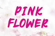 SAKURA, a Handwritten Font by Fourteen Letter (Thumbnail 4 of 8)