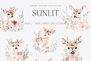 Sunlit - Spring Library, a Seasonal Illustration by Isabelle Salem (Thumbnail 8 of 13)