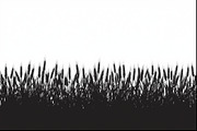 Harvest Wheat Border Designs, an Illustration by Creativeshirt (Thumbnail 5 of 9)