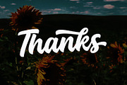Backly Highs - Title Brand Font, a Script Font by Multype Studio (Thumbnail 8 of 8)