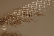 Natural Shadow Zen Overlays, a Texture Graphic by Feather & Sage Design (Thumbnail 9 of 14)