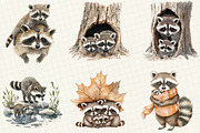 Watercolor Raccoon & Kit Clipart, an Illustration by OK Design (Thumbnail 2 of 5)