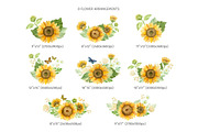 Sunflowers clipart, patterns, frames, a Decorative Illustration by Valin Malin (Thumbnail 4 of 16)