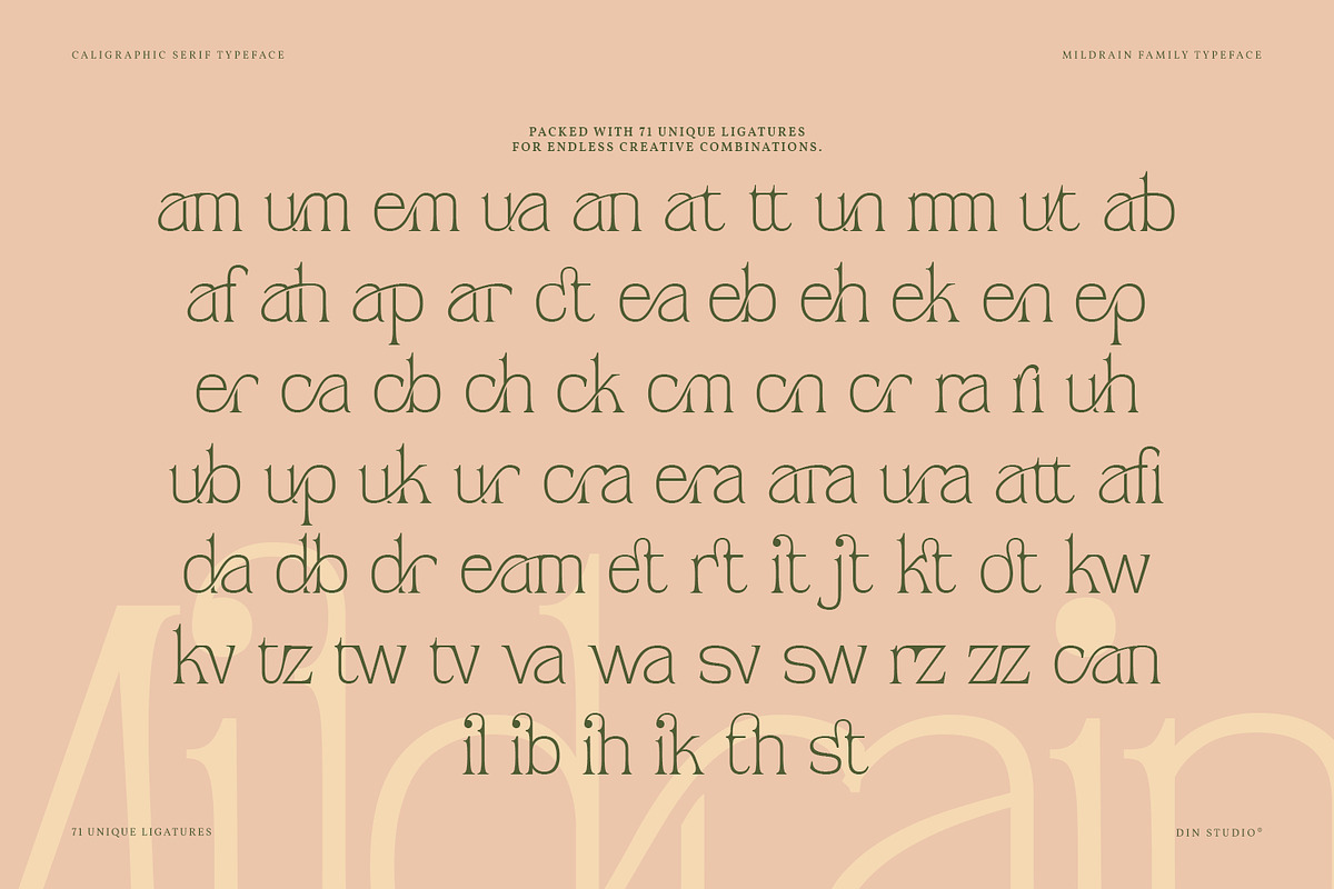 Mildrain, a Serif Font by din-studio.com (Photo 7 of 10)